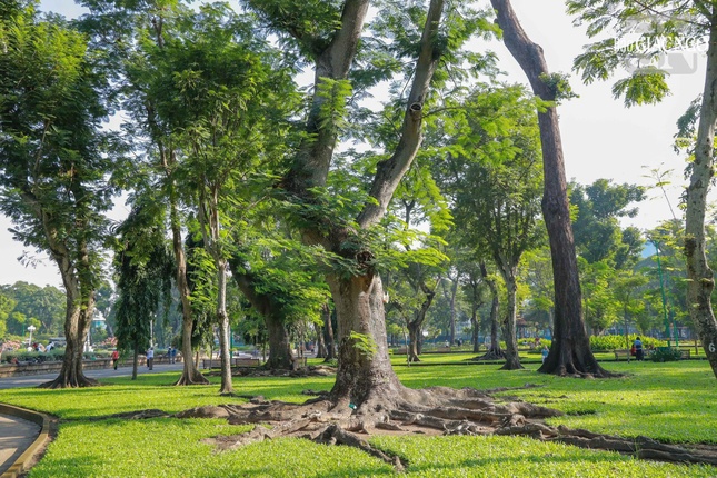 Hiện nay, công viên có nhiều cây xanh tạo bóng mát...