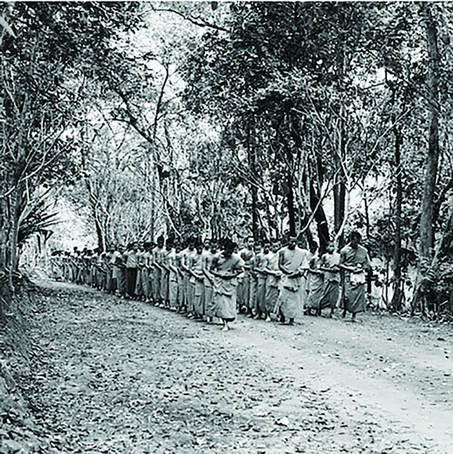 Hình ảnh từ Triển lãm Thiền cho thấy một nhóm lớn các nhà sư đang tu tập đi bộ thiền trong rừng - Hình ảnh do BHP cung cấp