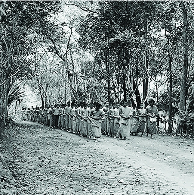 Hình ảnh từ Triển lãm Thiền cho thấy một nhóm lớn các nhà sư đang tu tập đi bộ thiền trong rừng - Hình ảnh do BHP cung cấp