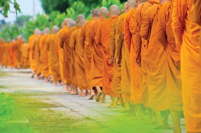 Giáo lý Tứ y là một pháp thù thắng giúp cho người tu tập biết cách ứng dụng Phật pháp một cách thông minh và không sợ đi lệch hướng