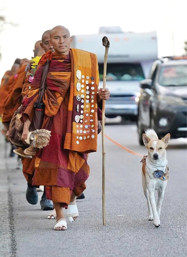 Hình ảnh các sư cùng chú chó Aloka mang thông điệp từ bi đã chạm đến hàng triệu trái tim người Mỹ, làm vỡ òa cảm xúc...