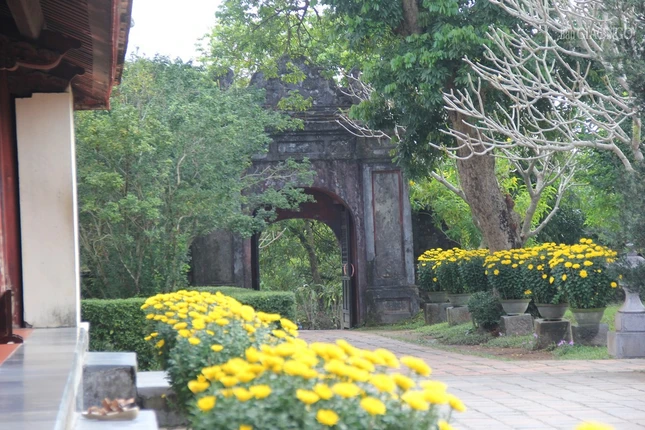 Những chậu hoa tươi được chọn trang trí trong khuôn viên chùa Những chậu hoa tươi được chọn trang trí trong khuôn viên chùa