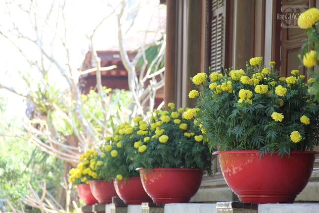 Xuân về bên hiên chùa Xuân về bên hiên chùa