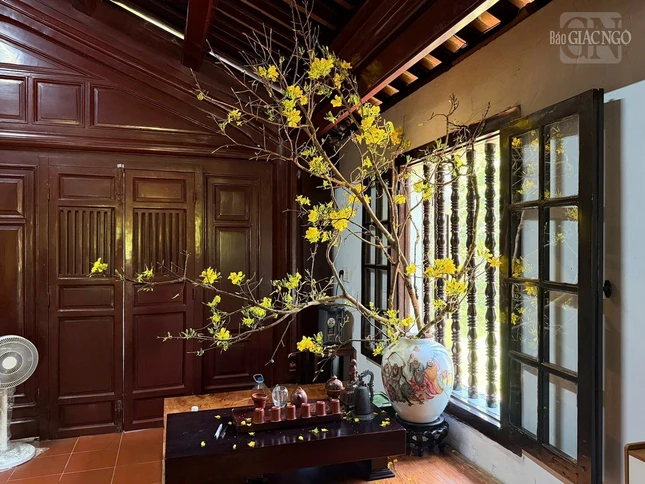 Xuân về bên hiên cửa sổ Xuân về bên hiên cửa sổ