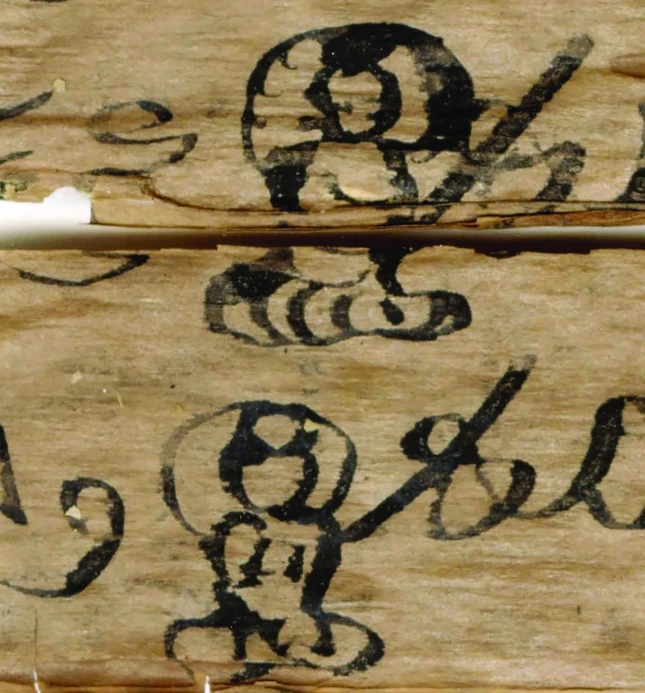 Hình ảnh Đức Phật được dùng để đánh dấu phần kết thúc của mỗi mục nói về một vị Phật trong văn bản ghi lại danh hiệu của nhiều vị Phật khác nhau