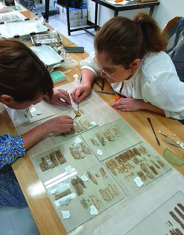 Bảo tồn các bản thảo Gandhārī của Bảo tàng Islamabad