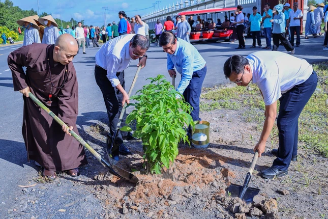 Trồng cây hoàng yến dọc tuyến đường Kênh 4 Trồng cây hoàng yến dọc tuyến đường Kênh 4