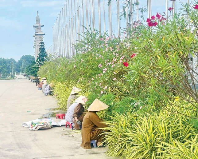 Muôn sắc hoa ở Học viện Phật giáo VN tại TP.HCM (xã Bình Lợi) - Ảnh: Nhân Hòa Muôn sắc hoa ở Học viện Phật giáo VN tại TP.HCM (xã Bình Lợi) - Ảnh: Nhân Hòa
