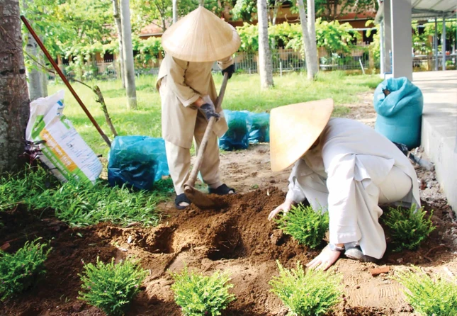 Tăng Ni sinh Học viện Phật giáo VN tại TP.HCM trồng, chăm sóc cây xanh trong khuôn viên và các con đường phụ cận - Ảnh: Nhân Hòa Tăng Ni sinh Học viện Phật giáo VN tại TP.HCM trồng, chăm sóc cây xanh trong khuôn viên và các con đường phụ cận - Ảnh: Nhân Hòa