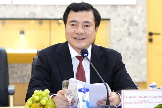 Ông Nguyễn Sinh Nhật Tân - Ảnh: VGP Ông Nguyễn Sinh Nhật Tân - Ảnh: VGP