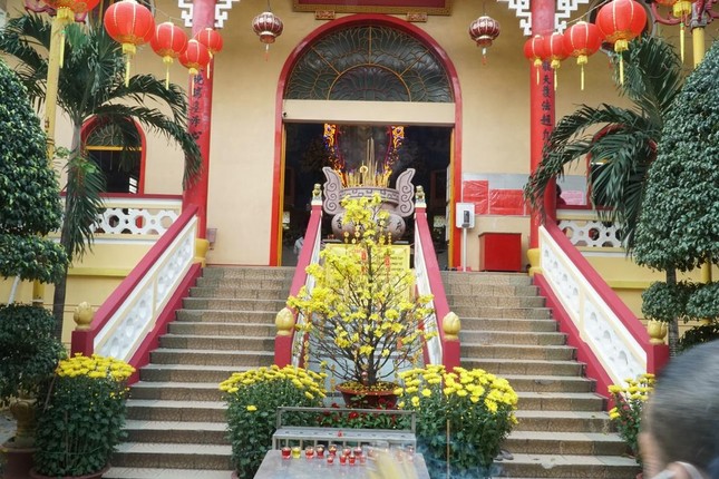 Lối dẫn lên điện Di Đà cũng có đầy sắc xuân với hoa mai vàng làm điểm nhấn