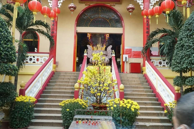 Lối dẫn lên điện Di Đà cũng có đầy sắc xuân với hoa mai vàng làm điểm nhấn