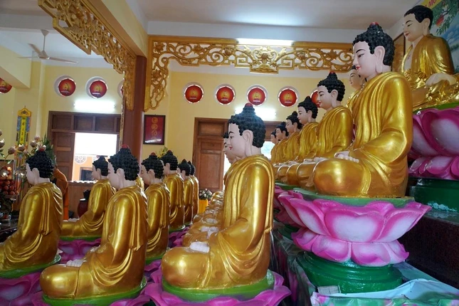 20 pho tương Phật tại bảo tháp Việt Nam Quốc tự cũ được an vị tạm tại điện Tam thế 20 pho tương Phật tại bảo tháp Việt Nam Quốc tự cũ được an vị tạm tại điện Tam thế