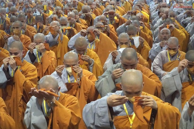 Đãy lọc nước là đồ hành từ hộ sanh