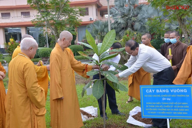 Cây bàng vuông được trồng do cán bộ, chiến sĩ và đồng bào huyện đảo Trường Sa gửi tặng