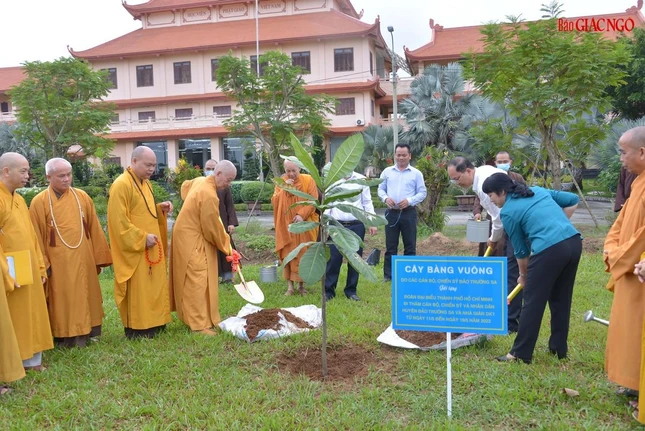 Cây bàng vuông được trồng trước tòa hành chánh của Học viện