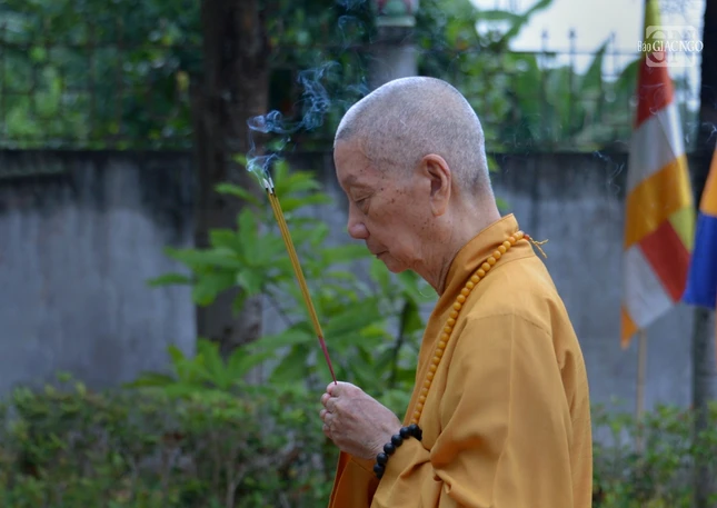 Tưởng niệm bậc long tượng rừng thiền