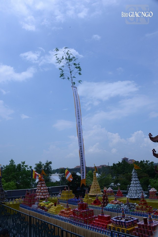 Thượng đại tràng phan