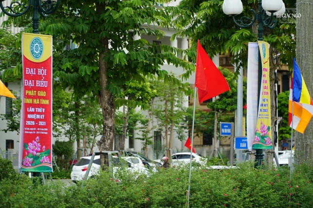 Cờ và biểu được treo dọc các tuyến đường dẫn đến Trung tâm Văn hóa và Điện ảnh tỉnh