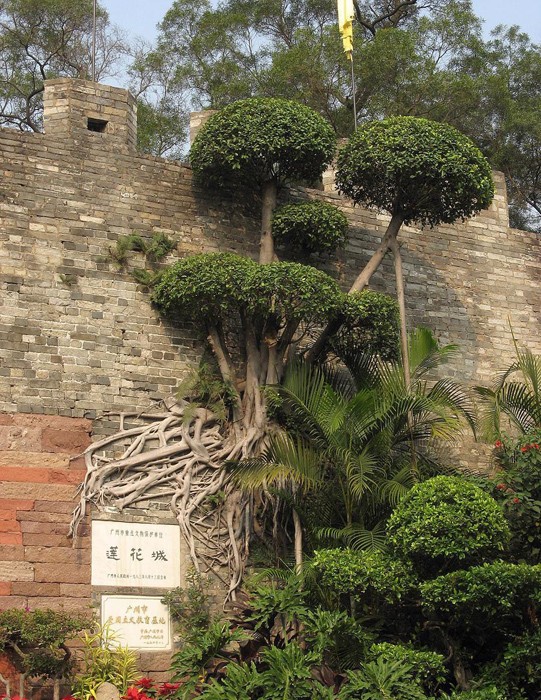 Vài nét Liên Hoa Sơn ảnh 4