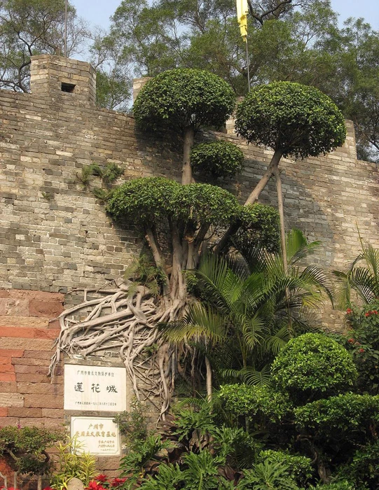 Vài nét Liên Hoa Sơn ảnh 4