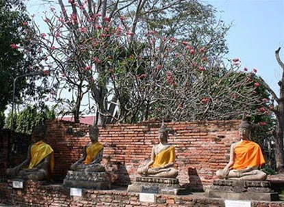 Cổ thành Ayutthaya: Dấu tích bên sông ảnh 5