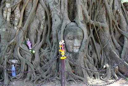 Cổ thành Ayutthaya: Dạo quanh thành cổ ảnh 7