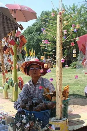 Cổ thành Ayutthaya: Dạo quanh thành cổ ảnh 8