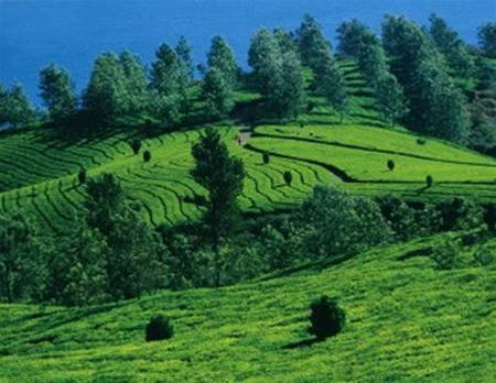 Một ngọn đồi ở phía tây Ghats - Ảnh: Indiatouristplaces