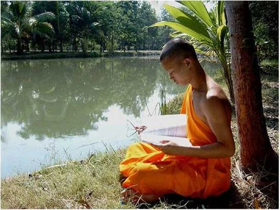 Tranh thủ học bài - Ảnh: Internet