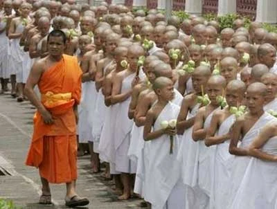 Dù sao vẫn là trẻ con - Ảnh: Internet Tiểu ni cô rất ít khi gặp - Ảnh: Internet