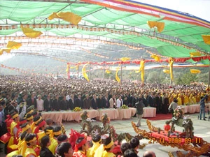 1769_chao-co.jpg