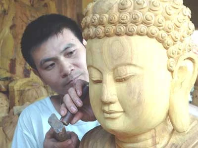 Tài hoa Sơn Đồng ảnh 2