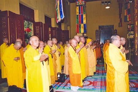 cqs08 02.jpg