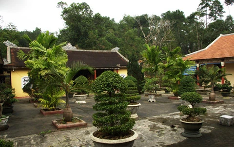 Chùa Thiền Tôn - nơi phát xuất phái Thiền Liễu Quán ảnh 13