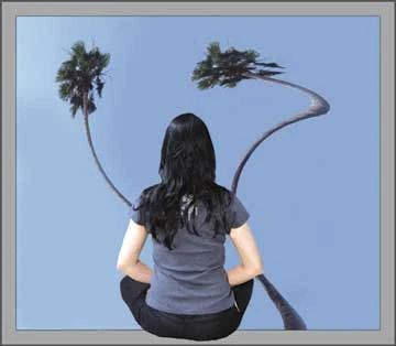 Ảnh: ĐẶNG HUỲNH