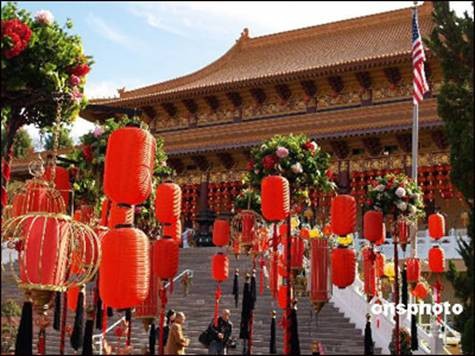 tay lai 1.jpg