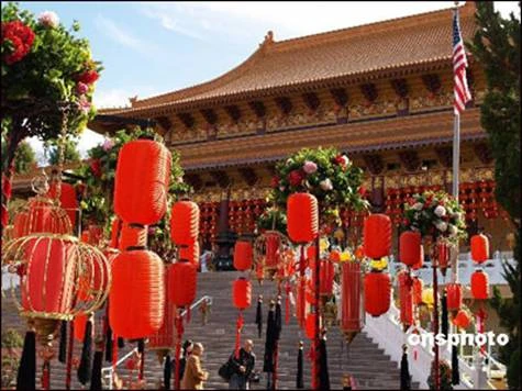 tay lai 1.jpg