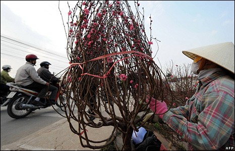 xuan 8.jpg