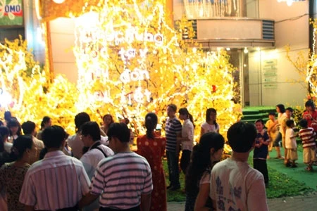 ... giữa thành phố rực sáng lung linh...