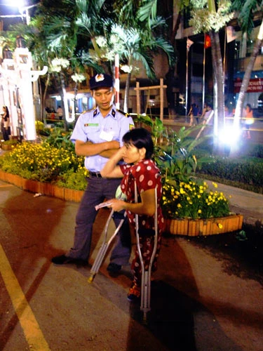Tạm biệt đường hoa Nguyễn Huệ ảnh 3