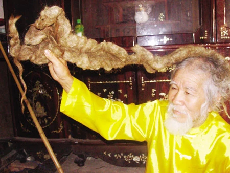 Dị nhân “đội” tóc rồng ảnh 2