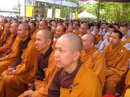 daininh 10_resize.jpg