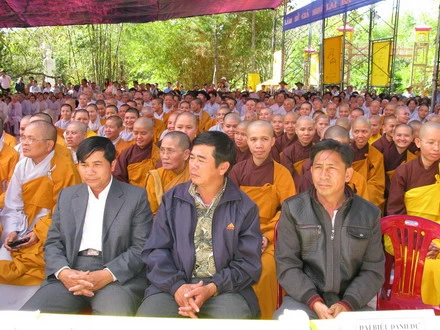 daininh 11_resize.jpg