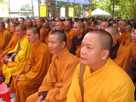 daininh 13_resize.jpg