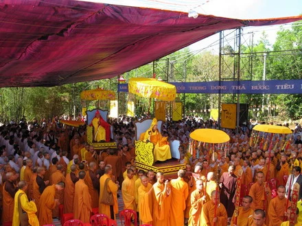 daininh 3_resize.jpg