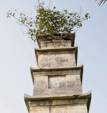 Về việc trùng tu tháp Tôn Đức ở chùa Bút Tháp ảnh 1