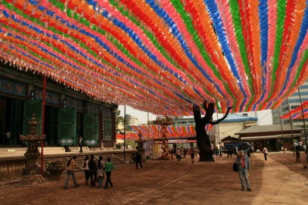 nhiendang 36.JPG