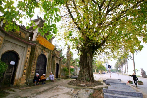 Chùa nằm bên Hồ Tây