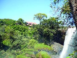 Sống thiền ở Linh Ẩn tự